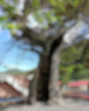 bali Endonezya seyahat teması yaratıcı arkaplan bulanık arkaplan Bokeh etkisi ile