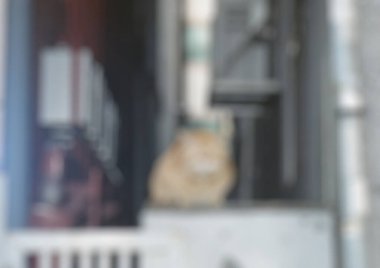 Modern binanın bulanık arkaplanı