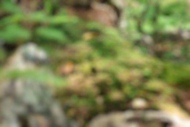 Turizm Tema yaratıcı soyut bulanıklık arka plan bokeh efektli dağcılık