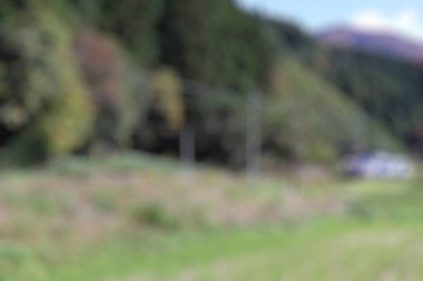 Ormandaki araba bulanık.