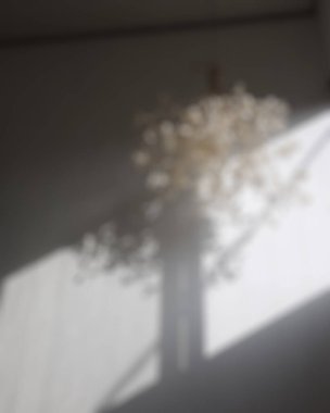 Güzel botanik fotoğrafı, doğal duvar kağıdı.