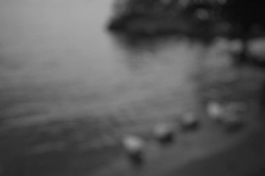 Parktaki şehrin bulanık görüntüsü