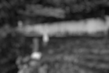 siyah ve beyaz soyut bulanık doğa arkaplanı