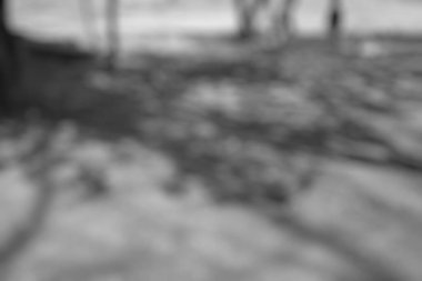 Sonbahar yapraklarının bulanık arkaplanı