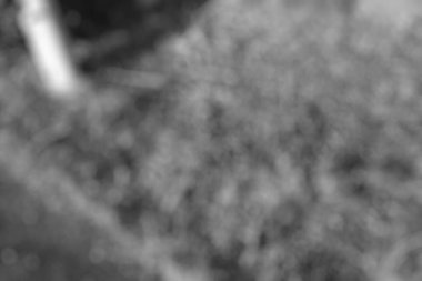 Doğanın bulanık arkaplanı, siyah beyaz fotoğraf