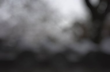 Bir ağacın bulanık arkaplanı soyut