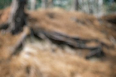 Kahverengi ahşap ve ormanla bulanık arkaplan