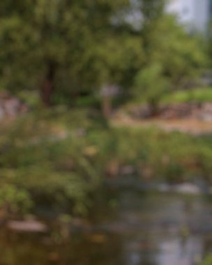 Güzel manzara. doğa arkaplanı