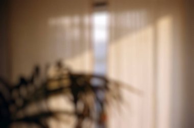 Bulanık arkaplan ile pencerenin bulanık arkaplanı