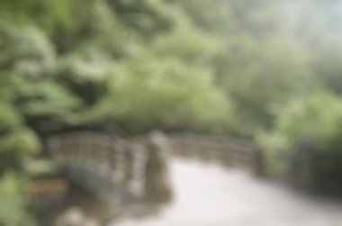 Parkın bulanık arkaplanı