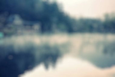 Ormanlı, bulanık nehir manzarası