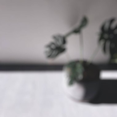 Kahve bitkisiyle bulanık arkaplan