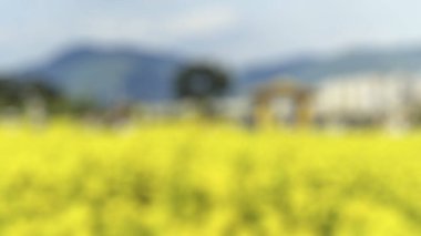 Bali Endonezya Seyahat Tema yaratıcı bulanıklık bokeh etkisi ile arka plan