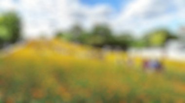 Renkli çiçeklerle bulanık arkaplan