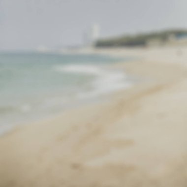 Kumsalın kumlu bulanık manzarası