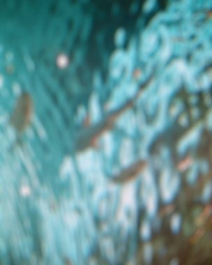 Mercan ve mercanlarla dolu su altı arka planı