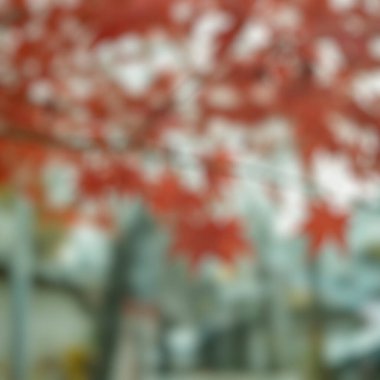 Renkli yaprakların odak noktasını bozar