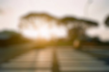 Parkın bulanık arka planı