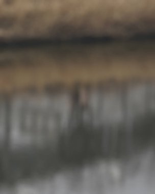 Arka plan bulanık. Soyut arkaplan. Doğa. Nehrin bulanık arkaplanı.