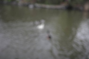 Bulanık soyut arkaplan, renkli bulanık su yüzeyi