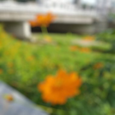 Şehrin bulanıklığı.