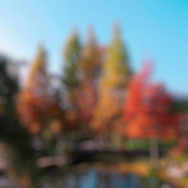 Soyut sonbahar arkaplanı, parkta bulanık yapraklar.