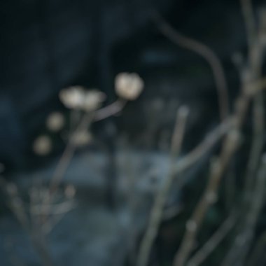 beautiful background with bokeh lights