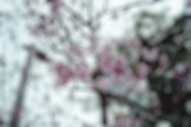 soyut renkli çiçekler arka plan