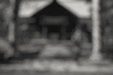 Ağacın siyah ve beyaz bulanık arkaplanı