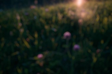 Bokeh ışık arka plan.