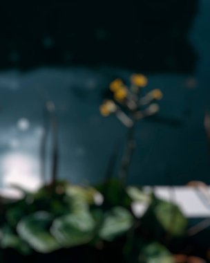 Güzel göl manzarası