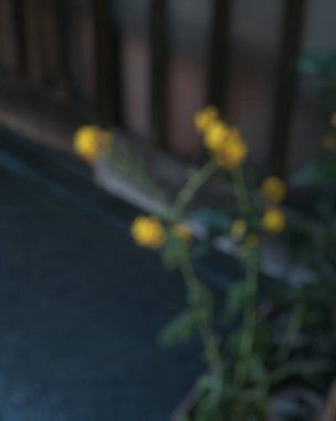 Tuğla duvarın arka planında vazodaki güzel çiçekler