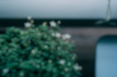 Kahve dükkanının bulanık arkaplanı