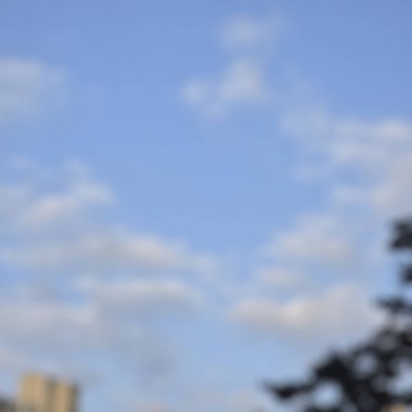 Yazın evin duvarında bulanık ışık ve gölgeler vardı..