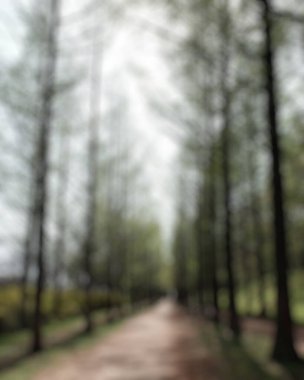 Yazın bulanık park