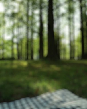 orman içinde ahşap tablo