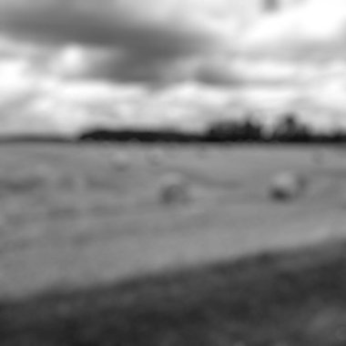 Bulanık manzaralı siyah beyaz bir fotoğrafın soyut arkaplanı