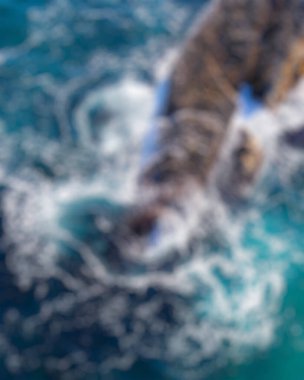 Yunus denizde yüzüyor