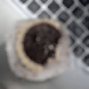 Kahve çekirdekli kahve ve çikolatalı kek