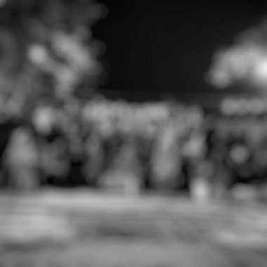 Parktaki insanlar bulanık.