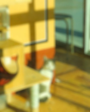 Ahşap zemini olan modern bir ofisin bulanık görüntüsü.