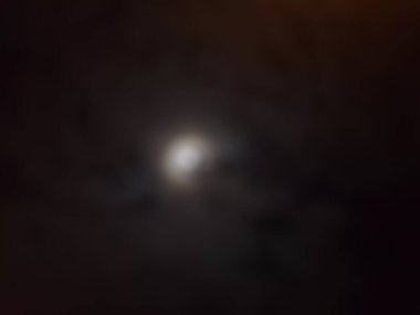 Ormanda güzel bir gün batımı