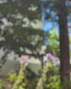 Parktaki ağaçlar bulanık