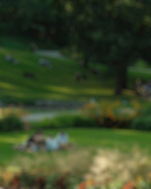 Bahçedeki yeşil ağaçların bulanık arkaplanı