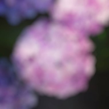 Bokeh ile soyut bulanık arkaplan.