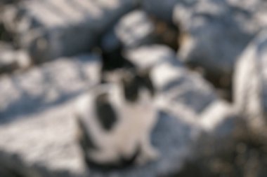 Turizm Tema yaratıcı soyut bulanıklık arka plan bokeh efektli dağcılık