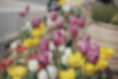 Arkaplanda soyut bulanık çiçekler, eski usul