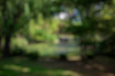 soyut yeşil arkaplan, siyah ve beyaz