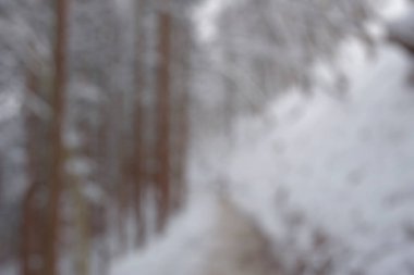 Karla kaplı ağaçlarla kaplı kış manzarası