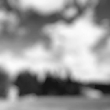 Ormandaki ağaçlarla bulanık arkaplan